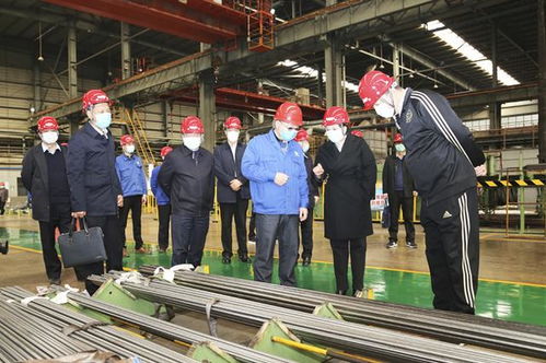 丁錦霞帶隊調(diào)研石家莊市復工復產(chǎn)企業(yè)特種設備安全保障工作